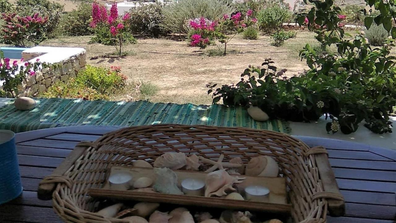 קופוניסיה Stella'S Home מראה חיצוני תמונה